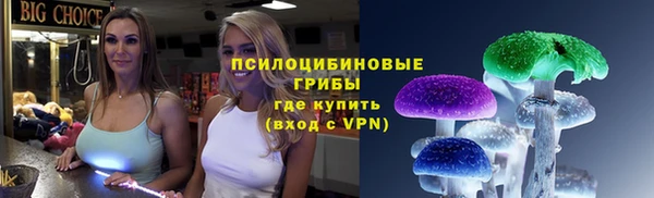 Альфа ПВП Алексин